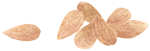 nuts